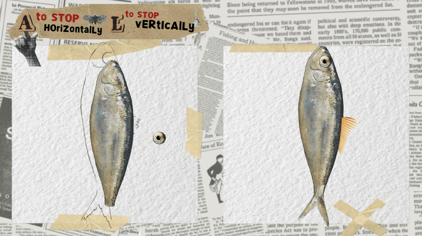 The Dinner title image
